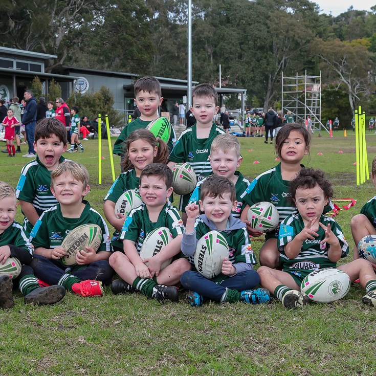 NSWRL on track for another record season in 2025