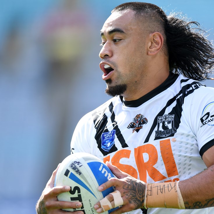 Wests Win Battle Of The Magpies