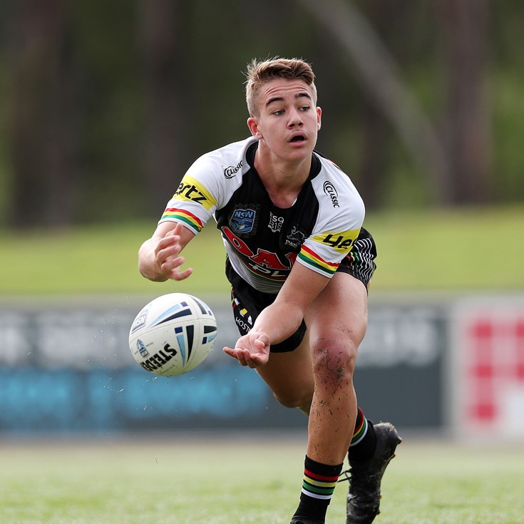 Perfect Panthers Eye Ultimate Glory