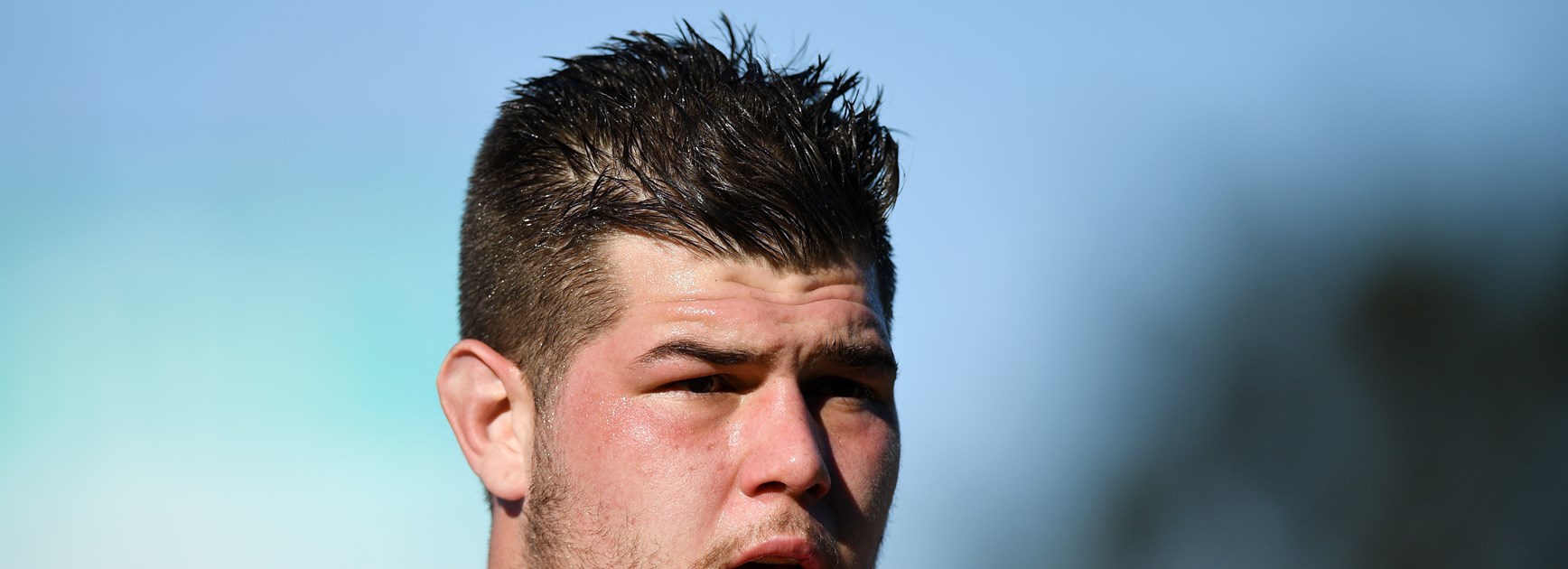 19 stars for 2019 | Blake Lawrie