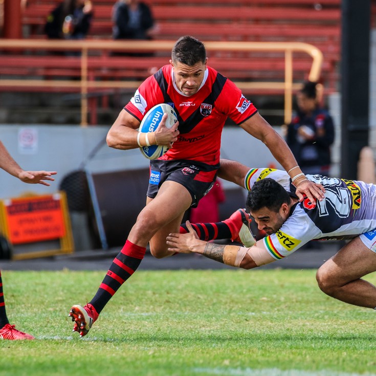 Bears go Down to Panthers at Home