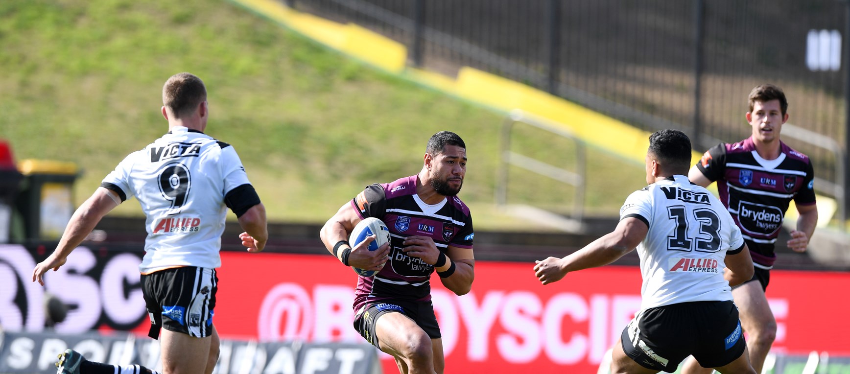 Magpies Take Out See-Sawing Affair